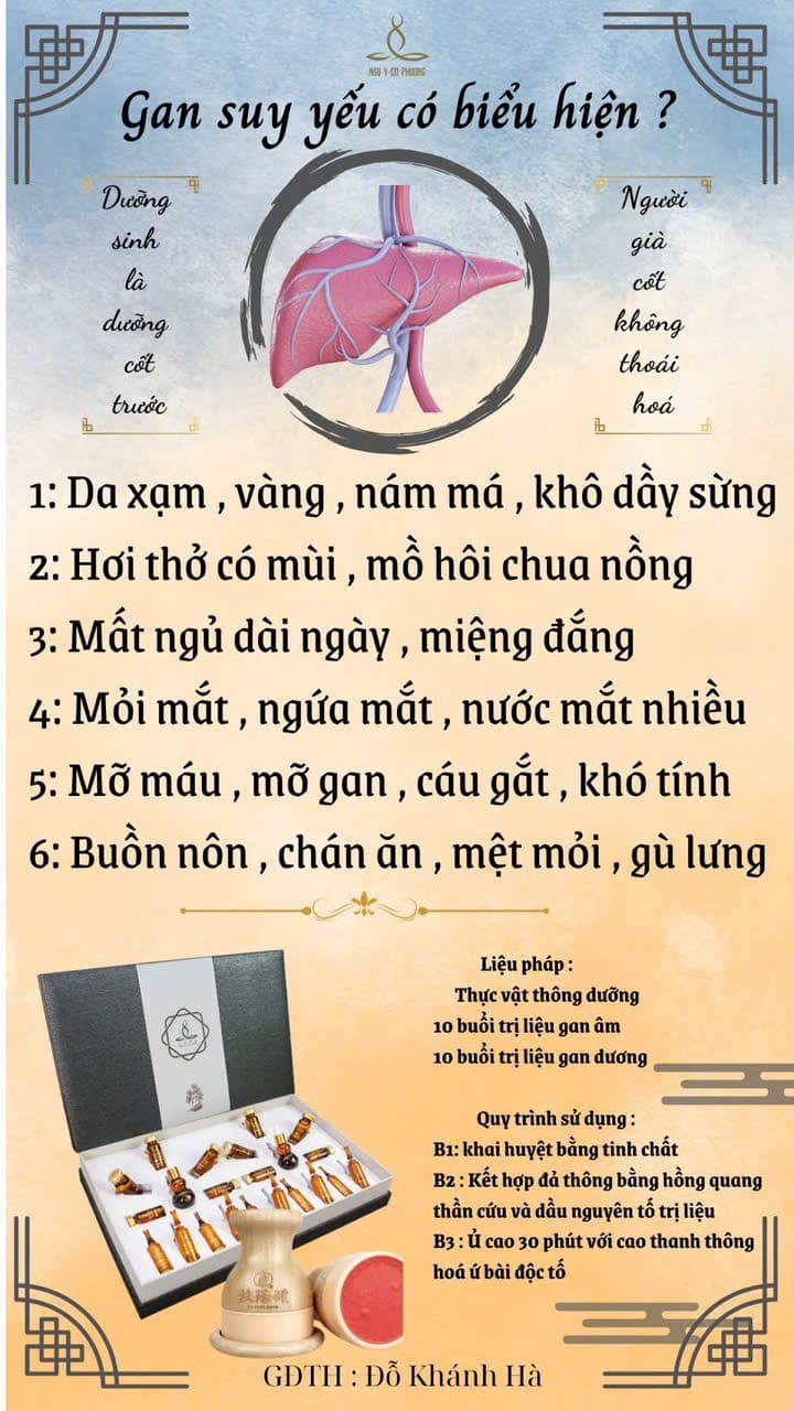 Thông dưỡng gan