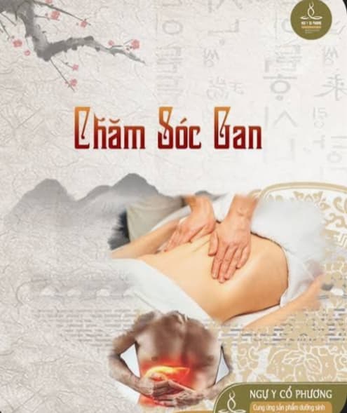 Thông dưỡng gan - 2