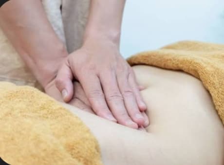 Hộ tân hoàn nguyên ( chăm sóc tỳ vị ) - 2